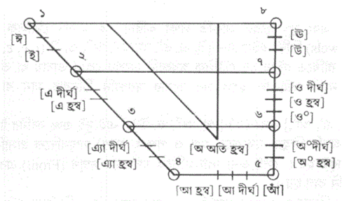 [আ হ্রস্ব] [আ দীর্ঘ] [আঁ]