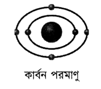 কার্বন পরমাণু