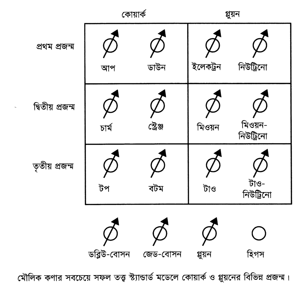 মৌলিক কণার সবচেয়ে সফল তত্ত্ব স্ট্যান্ডার্ড মডেলে কোয়ার্ক ও গ্লুয়নের বিভিন্ন প্রজন্ম।