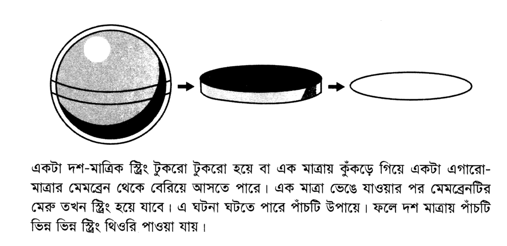 একটা দশ-মাত্রিক স্ট্রিং টুকরো টুকরো হয়ে বা এক মাত্রায় কুঁকড়ে গিয়ে একটা এগারো-মাত্রার মেমব্রেন থেকে বেরিয়ে আসতে পারে। এক মাত্রা ভেঙে যাওয়ার পর মেমব্রেনটির মেরু তখন স্ট্রিং হয়ে যাবে। এ ঘটনা ঘটতে পারে পাঁচটি উপায়ে। ফলে দশ মাত্রায় পাঁচটি ভিন্ন ভিন্ন স্ট্রিং থিওরি পাওয়া যায়।